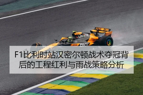 bi-li-shi-zhan-han-mi-er-dun-zhan-shu-duo-guan-bei-hou-de-gong-cheng-hong-li-yu-yu-zhan-ce-lve-fen-xi-2-483.jpg